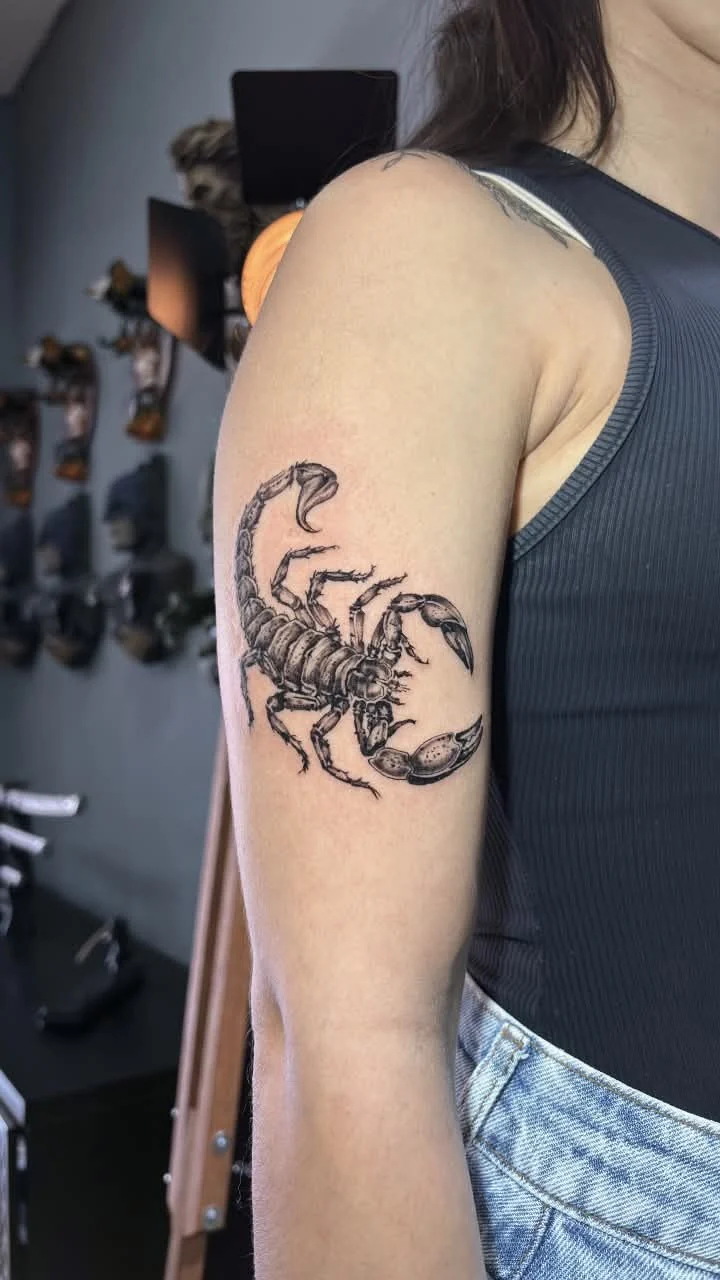 Escorpião · Braço
