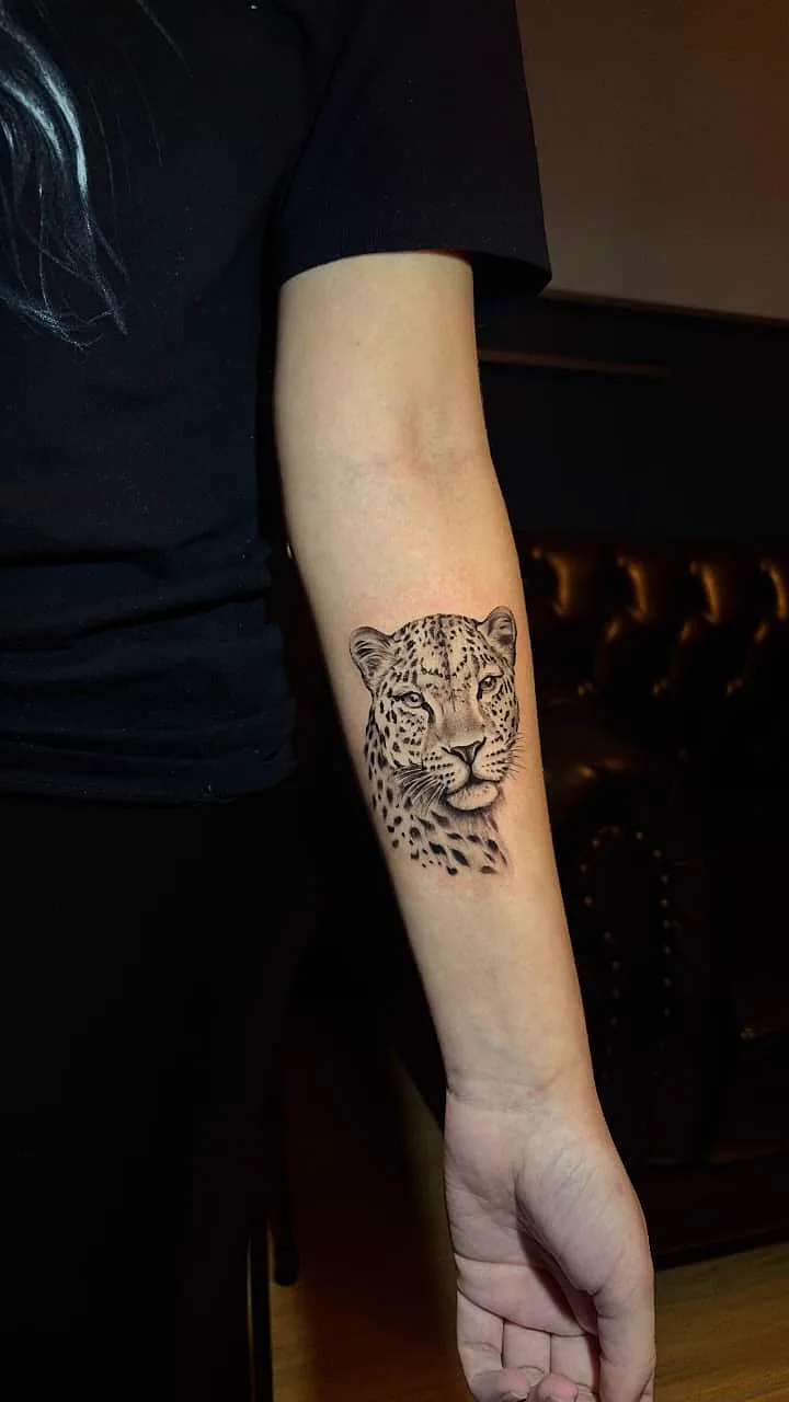 Leopardo